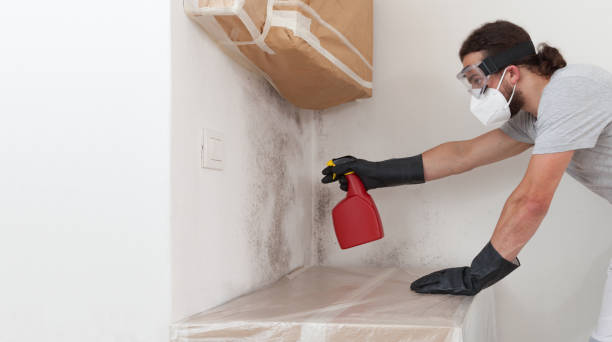 Professional Mold Remediation technician working in Garden City, NY